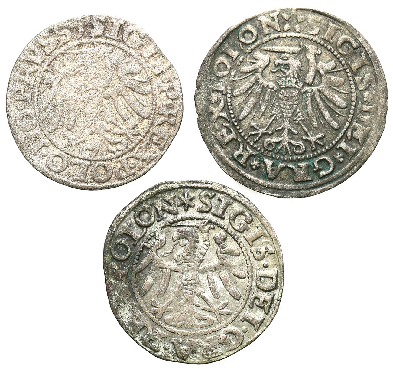 Zygmunt I Stary. Szeląg 1532, 1547 - Gdańsk, 1539 - Elbląg, zestaw 3 monet